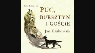 PUC BURSZTYN I GOŚCIE 3 6 Lektura do słuchania Jan Grabowski [upl. by Eelrefinnej]