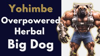 Yohimbe The Herbal Overpowered Big Dog Of Supplements [upl. by Nnayr852]