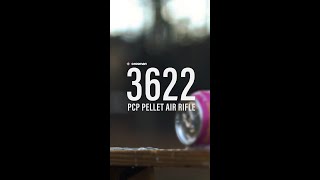 Crosman 3622 PCP Air Rifle is a gamechanger [upl. by Madelle]