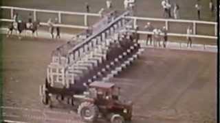 Secretariat Belmont Stakes 1973 amp extended coverage HD Version  NEW [upl. by Odelet427]