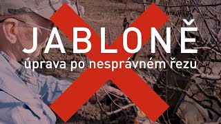 JABLONĚ – úprava po nesprávném řezu [upl. by Acnaib320]