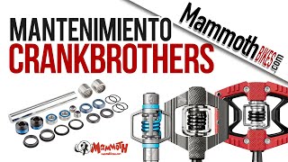 Cómo hacer el mantenimiento de unos pedales Crankbrothers [upl. by Ereveneug98]