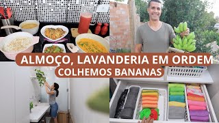 ALMOÇO FRESQUINHO ORGANIZAÇÃO DA LAVANDERIA TESTANDO MINHA MÁQUINA DE WAFFLE  COLHEMOS BANANAS [upl. by Pulchi]