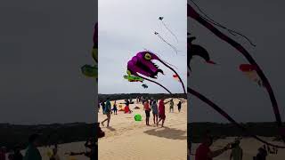 Kitty Hawk Kite Festival OBX Outer Banks [upl. by Ttereve]