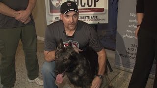 Watch Cop Meet His New K9 Partner After His Dog Died Saving His Life [upl. by Ydal694]