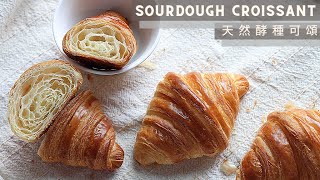 Sourdough Croissant  天然酵種可頌 [upl. by Harp]