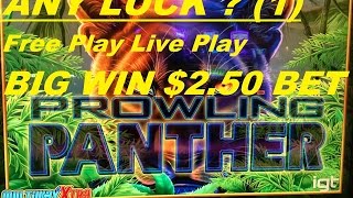 ★ANY LUCK  Free Play Slot Live Play 1★ ☆Prowling Panther Slot machine IGT BIG WIN ☆250 Bet [upl. by Keary]