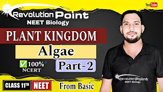 plant KingdomAlgaeclass 11part2 NEET 2025 neet2025 RevolutionPointpankaj [upl. by Shelden]