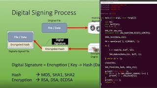 Hashing Encryption Decryption Digital Signature Signing Verification Openssl Pkcs7 [upl. by Enileve]