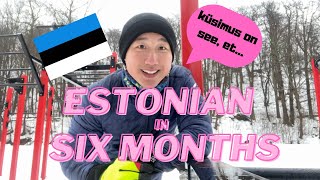 How I learned Estonian in six months Eesti keeles [upl. by Nowahs]