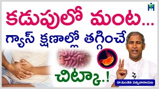 కడుపులో మంట గ్యాస్ తగ్గాలంటేhow to reduce gas in stomachDr Manthena SatyanarayanaHealth Mantra [upl. by Chloris184]