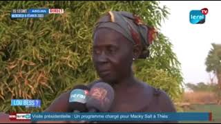 Visite du PARIIS Sénégal dans les périmètres maraichers féminins de Dassylamé sérère [upl. by Eidaj]