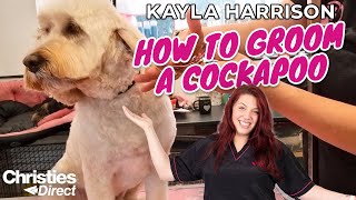 Kayla Harrison How to Groom a Cockapoo [upl. by Quillan871]