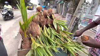 Tasting Coconut seed  Street Yums  Indian street food  Bangalore [upl. by Bloomer]