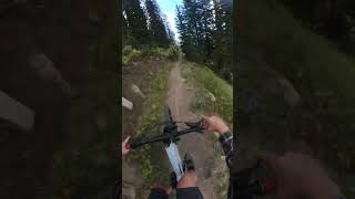 Alta to Snowbird UTAH EMTB [upl. by Beall]