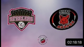 HIGHLIGHTS  SSL HERR  Nykvarn vs Pixbo IBK  14 jan [upl. by Alel]