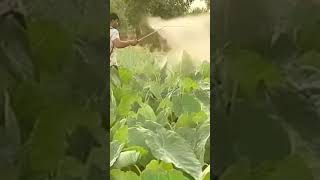 Sprayer Nozzle farming agriculture irrigation [upl. by Relyt]