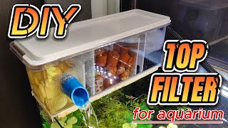 Top Filter Setup for My Aquarium  Part 2  Adding Bio Medias in Top Filter  தமிழ் amp English [upl. by Leryt232]