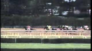 Easy Goer  1989 Belmont Stakes [upl. by Kano734]