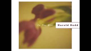 Harold Budd  Come Back To Me In Dreams [upl. by Eiffe44]