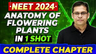 ANATOMY OF FLOWERING PLANTS in One Shot  Complete Chapter of Botany  NEET 2024 [upl. by Aisila]