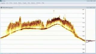 CEE HydroSystems CEESCOPE™ CEE ECHO™ Sub Aquatic Vegetation Canopy Detection 200 kHz [upl. by Spielman100]