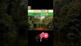 Amazon jungle ka rasssya 😱 viralvideo facts generalknowledge gk gkfacts [upl. by Bronder193]