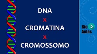 DNA Cromatina e Cromossomo Diferenças Biologia Molecular  Bio Aulas [upl. by Nomyad384]