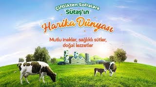 Çiftlikten Sofralara Sütaş’ın Harika Dünyası [upl. by Adelind120]