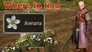 Witcher 3 where to find arenaria [upl. by Zertnom]