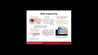 Introduction to RNA Sequencing and Analysis [upl. by Conroy263]