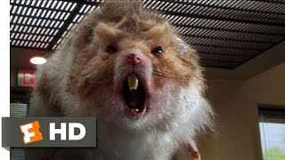 Nutty Professor 2 The Klumps 89 Movie CLIP  Giant Hamster Attack 2000 HD [upl. by Gaylene468]