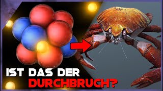 Durchbruch bei der Kernfusion durch eine KRABBE [upl. by Nairam742]