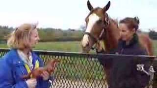 Rags to Riches Meets Her Breyer  Breyer Model Horses [upl. by Pitchford178]