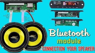 Bluetooth Mp3 FM Module with Amplifier [upl. by Alyakcim]