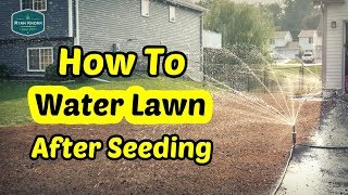 How To Water Your Lawn After Seeding [upl. by Anaitit]