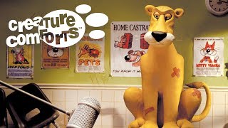 Pets At The Vets  Creature Comforts S1 Full Episode [upl. by Wyler]