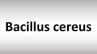 How to Pronounce Bacillus cereus [upl. by Attiuqihc]