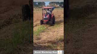 Hard Working Day 170 Dry Hay Spreader In The Field [upl. by Macfarlane]