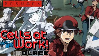 Cells at Work Code Black Resumen en 10 Minutos Hataraku Saibou  La vida dentro del cuerpo Humano [upl. by Nnylkoorb]