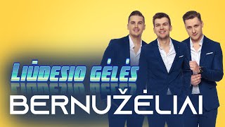 Bernužėliai  Liūdesio gėlės 2019 [upl. by Epps]