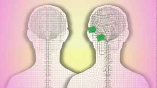 CranioSacral Therapy What is it How does it work by Tad Wanveer [upl. by Marje]