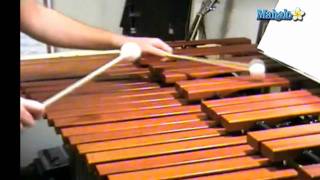 How to Play Xylophone for Beginners [upl. by Ardnas]