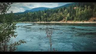 A Walk Along Columbia River [upl. by Millda]