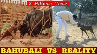 BAAHUBALI 2  THE CONCLUSION  Trailer REACTION [upl. by Carmencita]