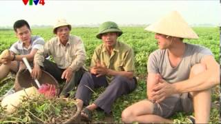 Vietnam discovery  Rice harvest time [upl. by Einrae]