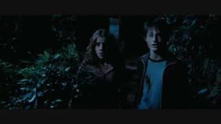 Harry Potter the Prisoner of Azkaban Harry Hermione part 2 [upl. by Bussey]