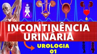 INCONTINÊNCIA URINÁRIA CAUSA TRATAMENTO E EXERCÍCIOS  COMO RESOLVER A INCONTINÊNCIA URINÁRIA [upl. by Euqinotna]