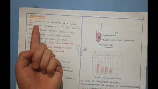 BIOCHEMICAL TESTS SUGAR FERMENTATION TEST [upl. by Joshia83]