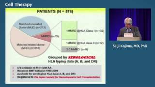 Aplastic Anemia by Dr Seiji Kojima [upl. by Saeger]